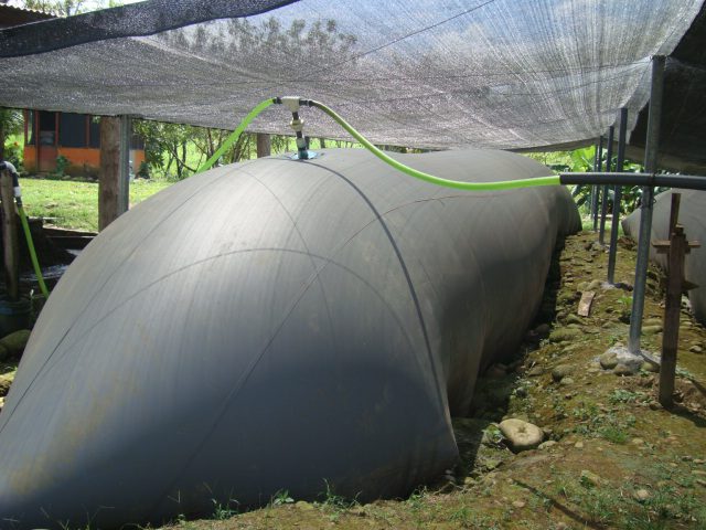 Biodigestores