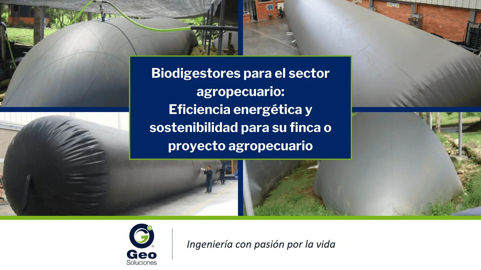 Biodigestores agropecuarios: eficiencia y sostenibilida