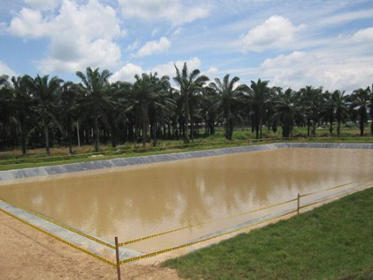 Impermeabilización Plantas de Tratamiento de Aguas Residuales en la Planta de Aceites Manuelita - San Carlos de Guaroa (Meta).