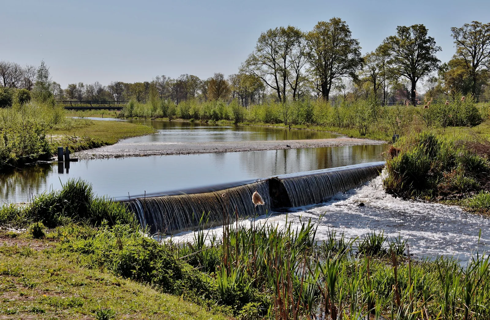 Reservorios de riego: optimizar el abastecimiento de agua