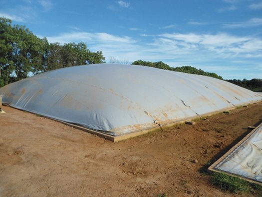 Impermeabilización Biodigestores Agropecuaria Aliar SA Granja La fazenda