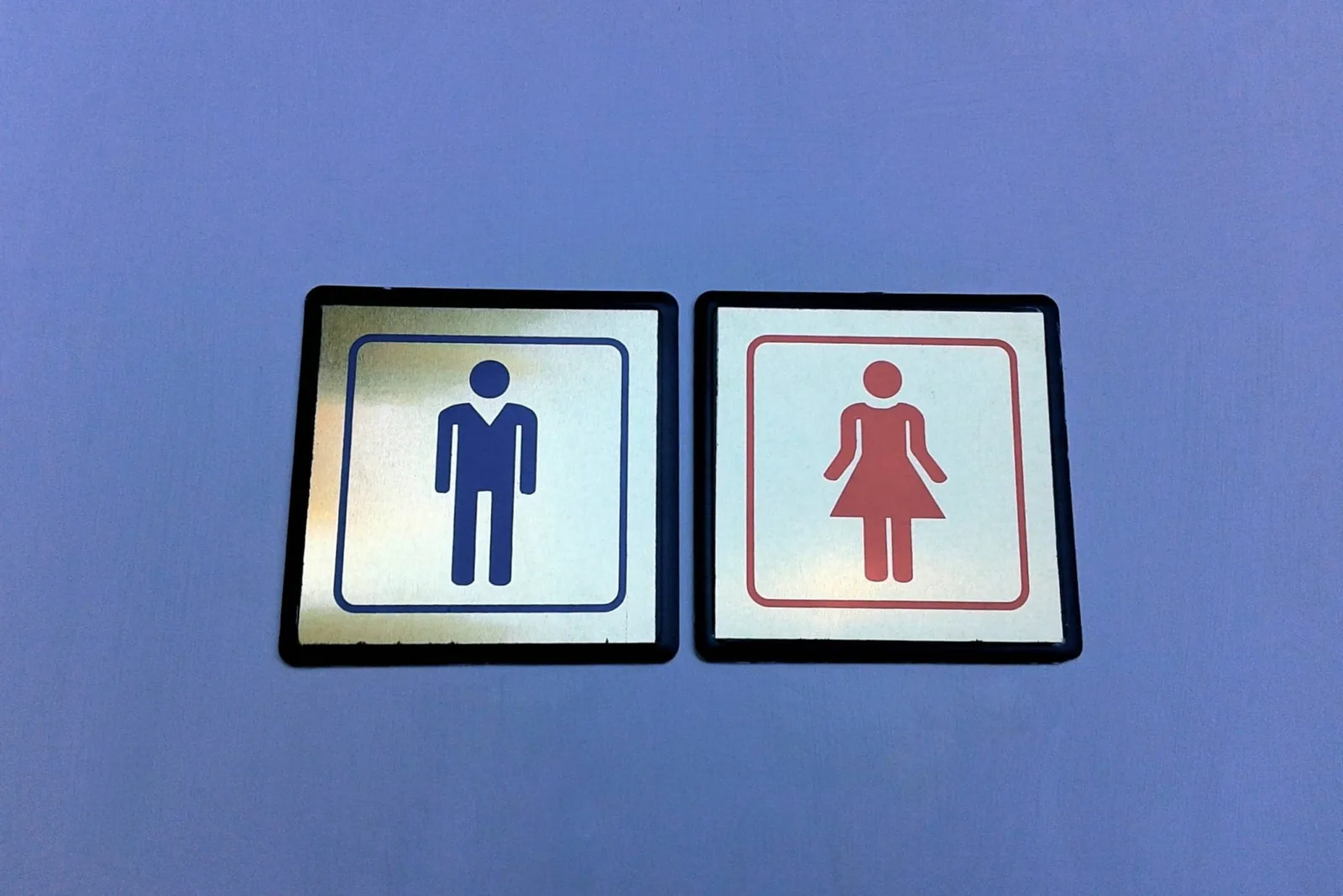 Distintos tipos de inodoros o sanitarios para el baño