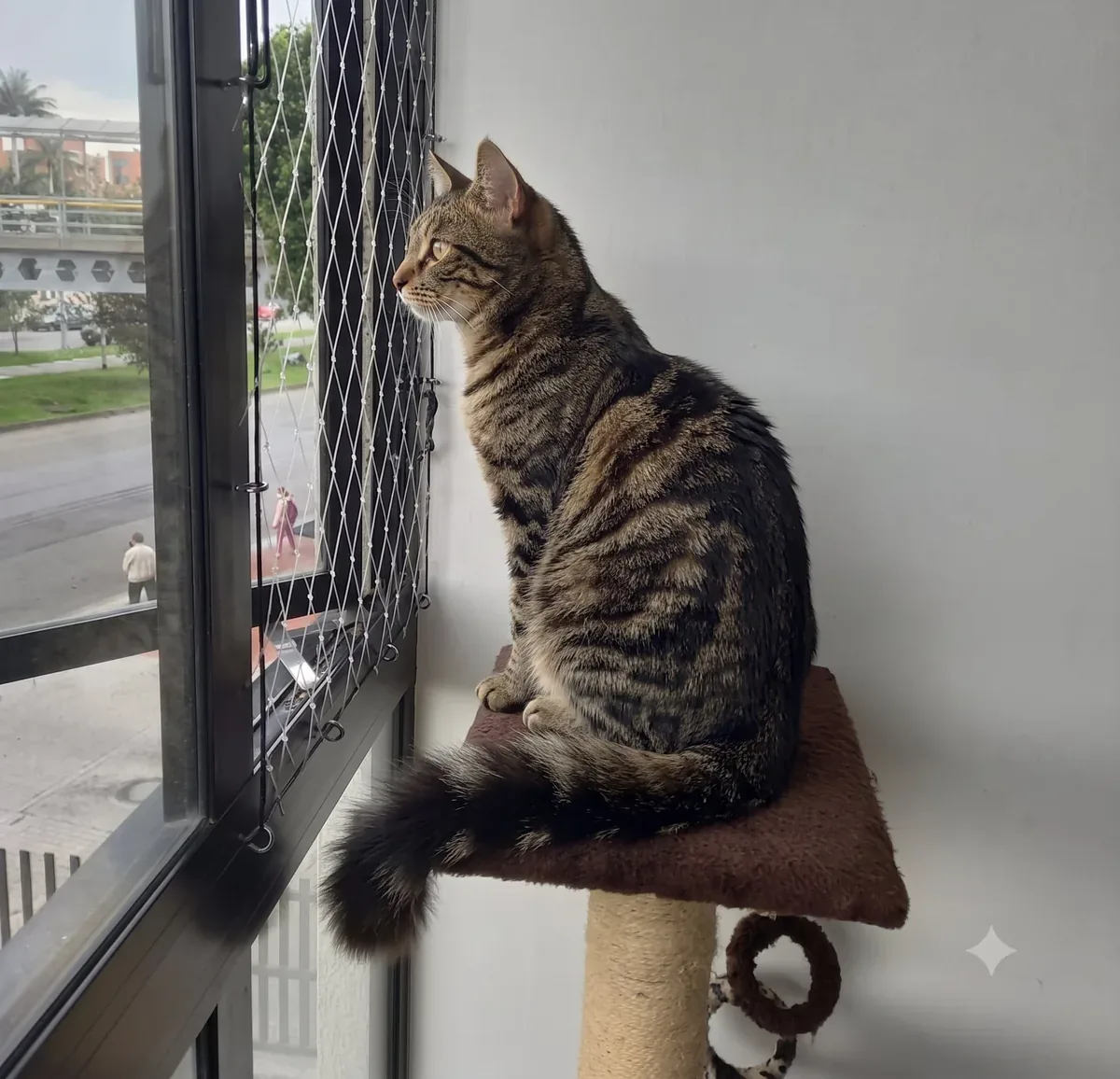 Malla en ventana corrediza en Envigado